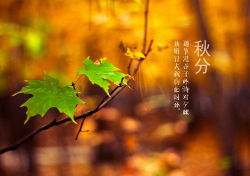 2014年秋分是星期几
