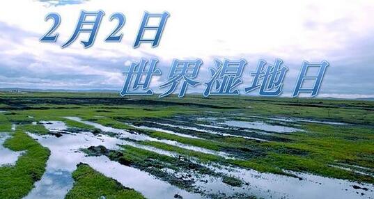 日本城镇人口_中国人口大迁移 2亿新增城镇人口,将去向这19个城市群 深度剖析(2)