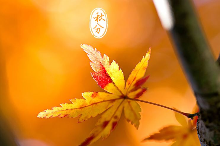 我国古人划定秋分有三候:一候雷始收声,二候蛰虫坯户,三候水始涸.