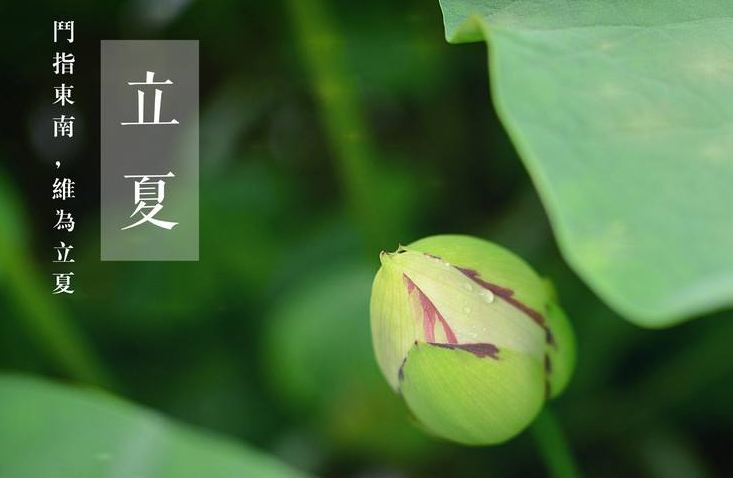 2018年立夏具体时间 2018年立夏是几月几日