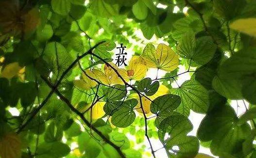 落叶什么成语_成语故事图片(3)