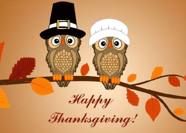 2017中国感恩节是几月几号 - 日历网