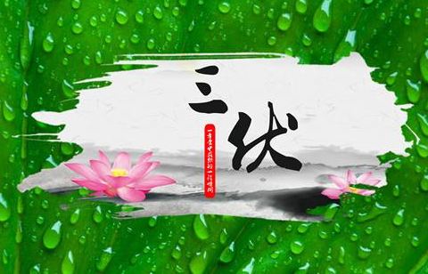 2018年三伏天时间表 三伏天是什么时候 - 日历