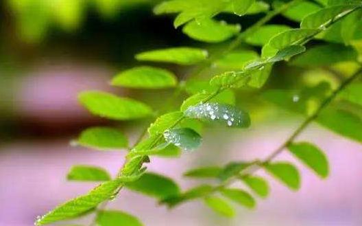 2018年入伏一伏二伏三伏是几号 2018年入伏时