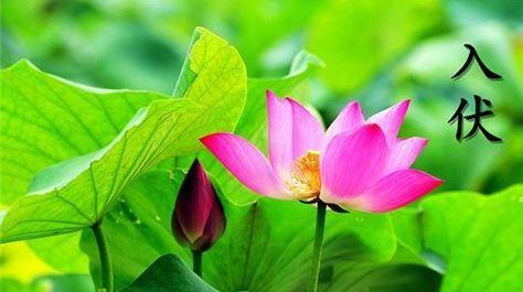 2018年入伏时间:2018年入伏第一天是几月几日