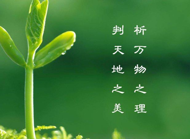 植树节的由来_植树的好处_半泽植树