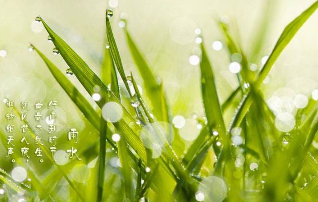 2018年雨水是什么日子 2018年雨水是什么时候