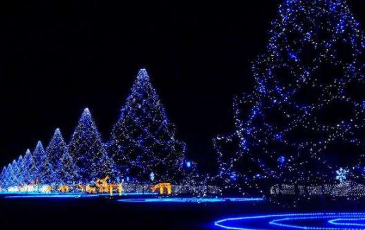 平安夜是几月几号2017