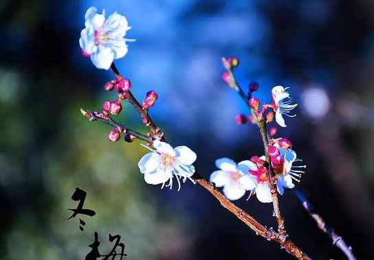 冬至来了,邂逅最美的冬至诗词