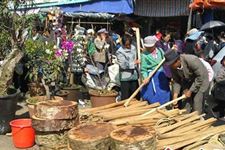 棒棒会是哪个民族的节日
