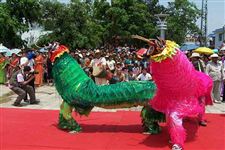 耍白象是哪个民族的节日
