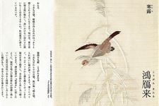 日本七十二物候:寒露三候