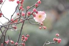 进人口是啥意思_进人口是什么意思 黄历进人口的意思 老皇历中进人口是什么(3)