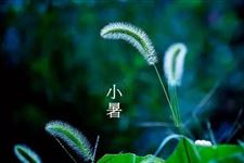 2017年小暑是什么时候 2017年小暑的具体时间