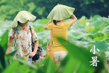 2017年小暑是不是入伏 2017年小暑是不是代表着入伏