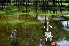 关于小暑节气祝福语有哪些 2017年小暑节气祝福语