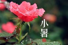 2017小暑是几月几日 2017年小暑是哪一天
