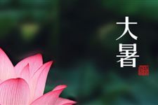 大暑来临说明什么