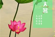 大暑气候特点