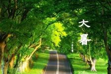 2017大暑是几月几日 2017大暑具体时间是什么时候