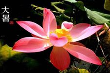 大暑节气习俗有哪些