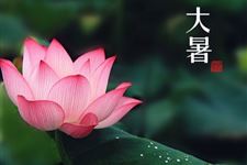 大暑养生小诀窍 大暑养生方法有哪些