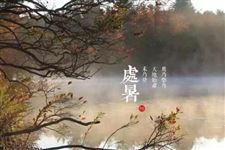 处暑中的处什么意思 处代表什么