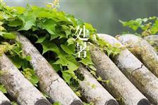 2017年处暑具体时间 今年处暑是几月几日几点