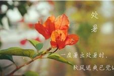 处暑是怎么来 处暑的来历