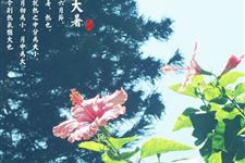 2018年大暑是什么时候