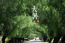 2018年大暑是什么时候星期几