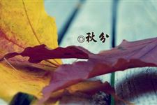 秋分有什么特别习俗吗