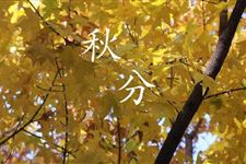秋分去火小技能 2017年秋分吃什么可以去火