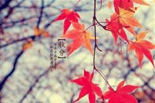 2017年秋分日适合订婚吗
