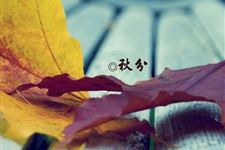 秋分雨水多吗