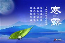 9.寒露诗句,寒露的诗句有哪些,,寒露诗词大全