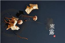 2017年寒露有哪些祝福语