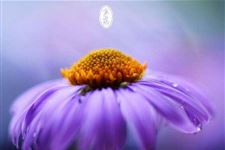 寒露节气微信祝福语