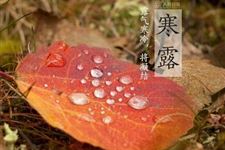 2017年寒露祝福:愿你深秋安康
