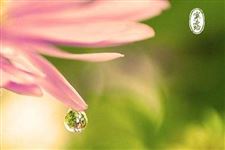 2017年寒露时节给恋人的问候短信