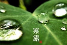 2017年寒露时节祝福语和祝福短信
