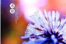 寒露时节注意哪些事项 老中医的经验之谈