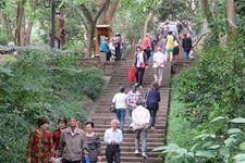 寒露养生:登高的习俗有益身心