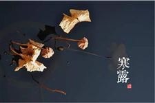 寒露节气 寒露详解