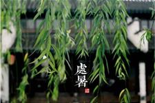 处暑节气 处暑详解