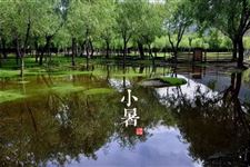 小暑节气 小暑详解