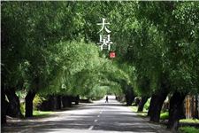 大暑节气 大暑详解