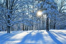 小雪节气是下小雪的意思吗