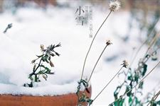 南北方小雪节气区别 南北方的小雪节气有什么不同