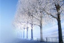 小雪节气寓意 小雪是什么意思
